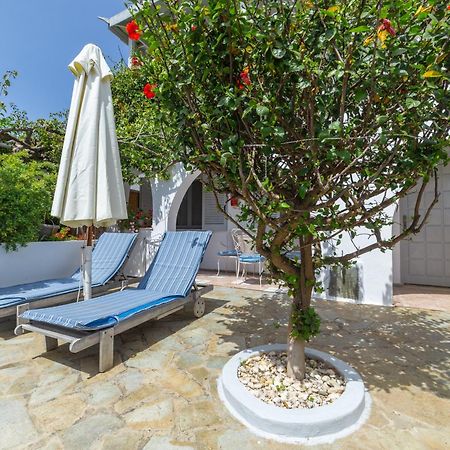 Villa Arni Andros - Βίλα Αρνη Batsíon Exterior foto