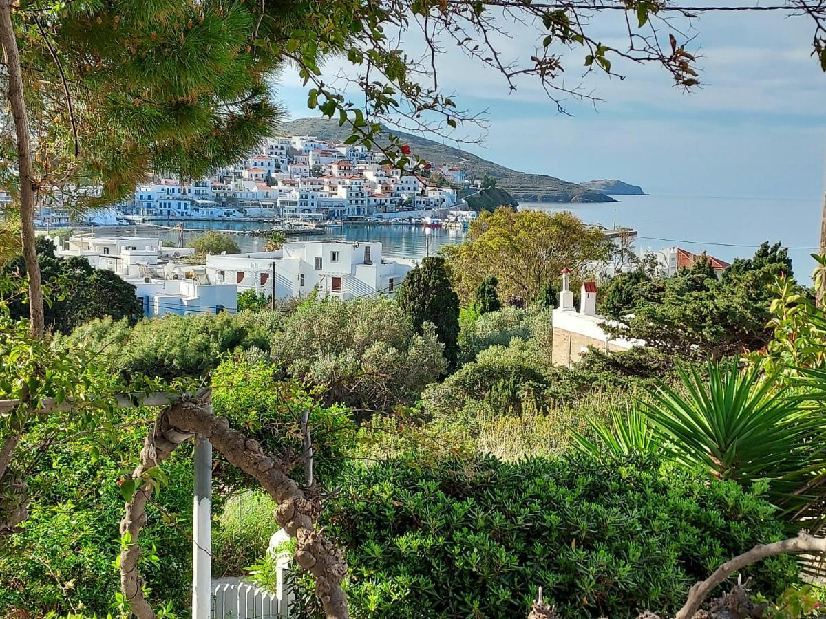 Villa Arni Andros - Βίλα Αρνη Batsíon Exterior foto