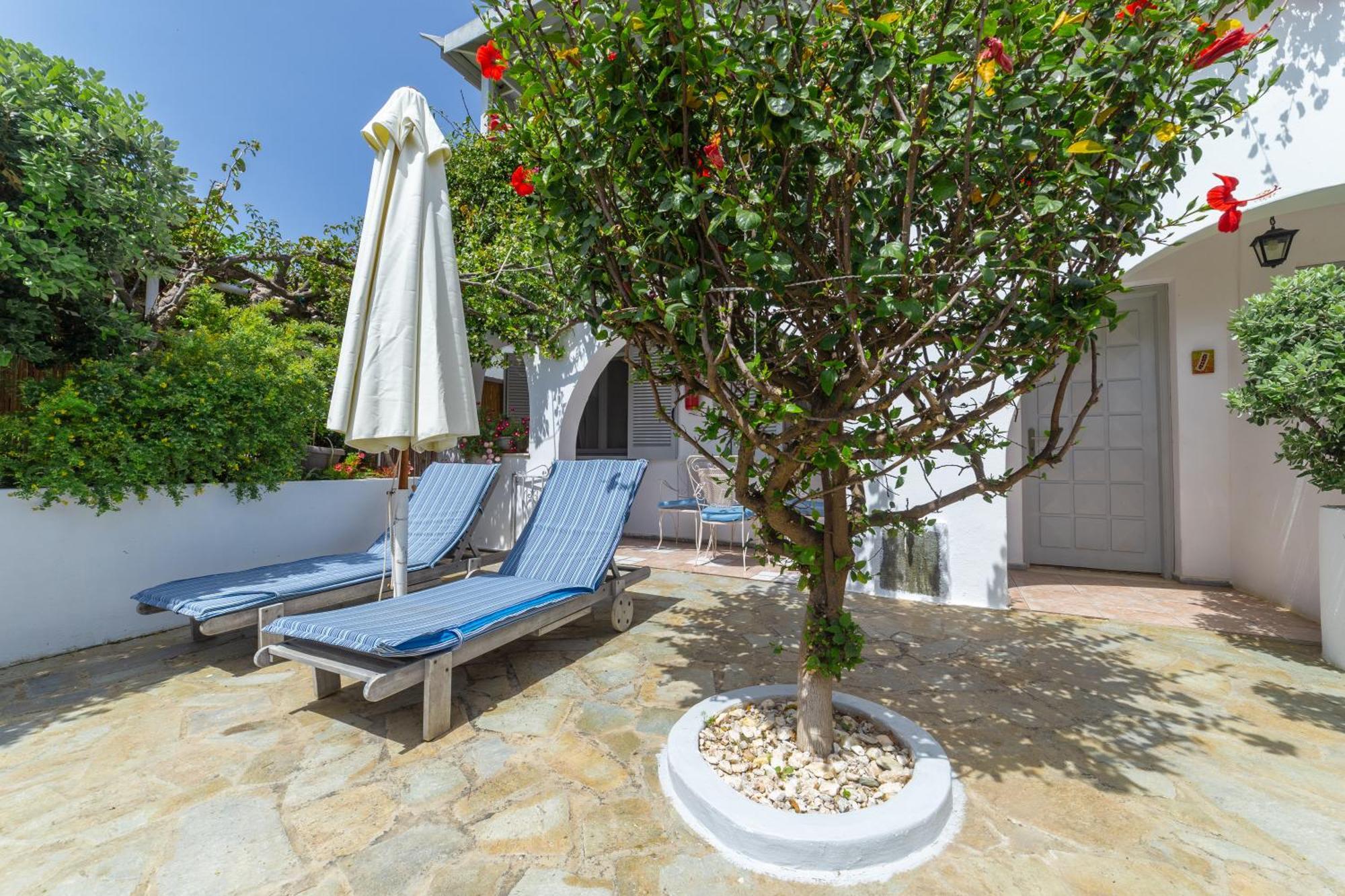 Villa Arni Andros - Βίλα Αρνη Batsíon Exterior foto